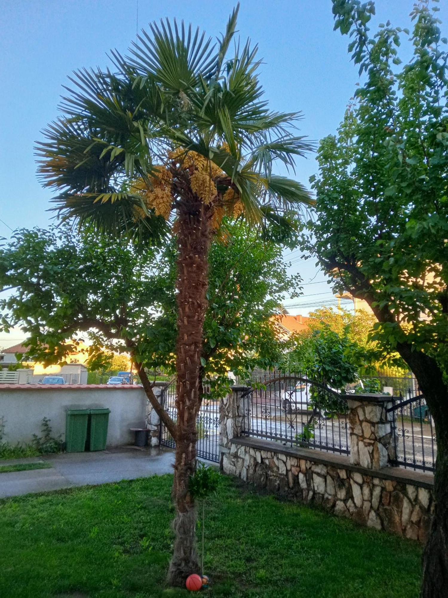 Apartman Zafirovi Gewgelija Zewnętrze zdjęcie